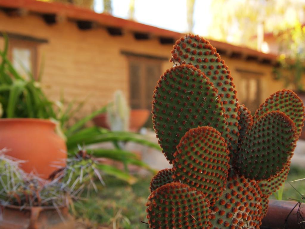 Rincon De Fuego Inn 3*