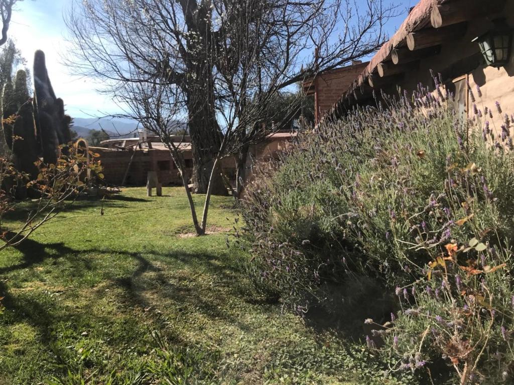 Rincón De Fuego Tilcara