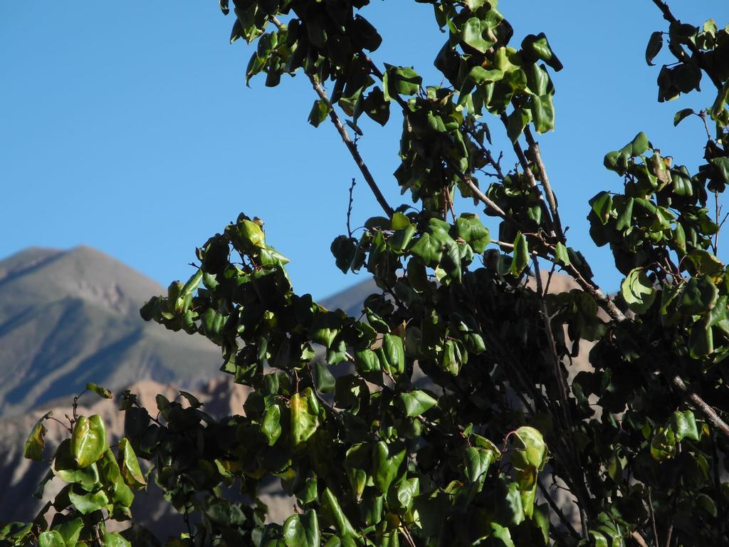 Rincón De Fuego Estalagem 3*
